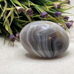 Agate Palm Stone