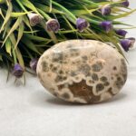 Ocean Jasper Palm Stone