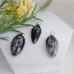 Buy Orthoceras Fossil products online India