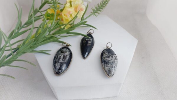 Buy Orthoceras Fossil products online India