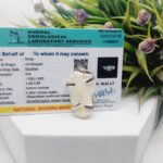 Shukra Mani Pendent