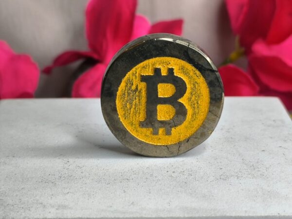 Pyrite Bitcoin for energy protection and manifestation - Sampada Crystals