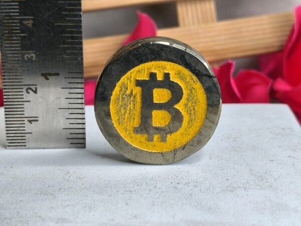 Authentic Pyrite Bitcoin for wealth and abundance - Sampada Crystals, Pune