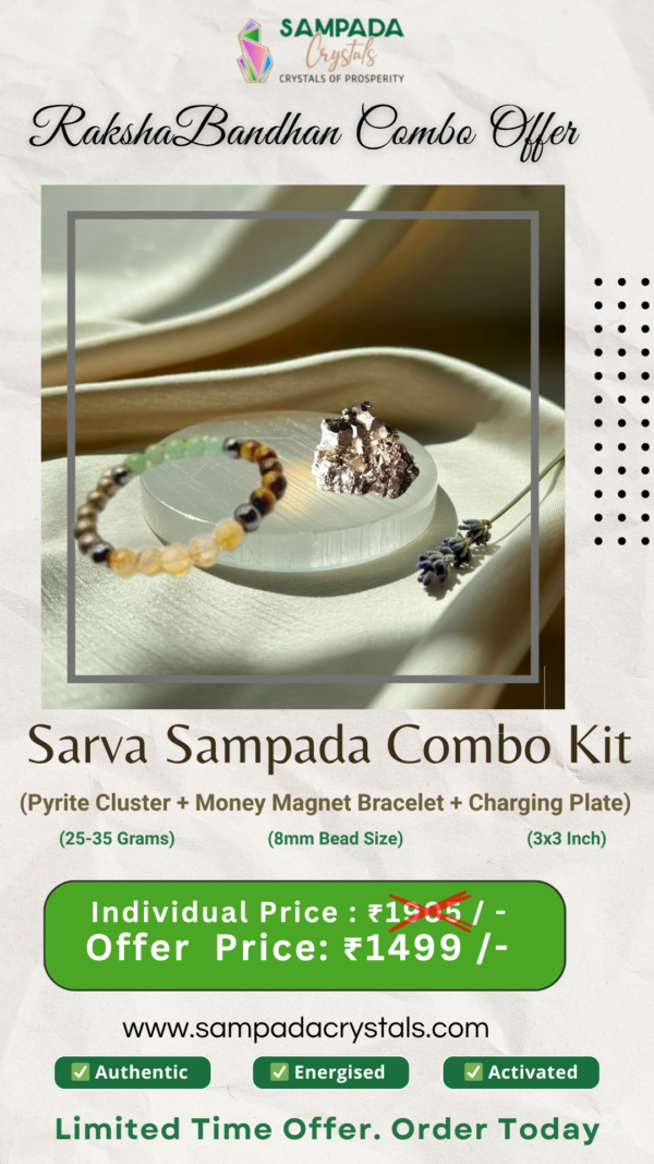 Sarva Sampada Abundance Kit - Rakshabandan Offer